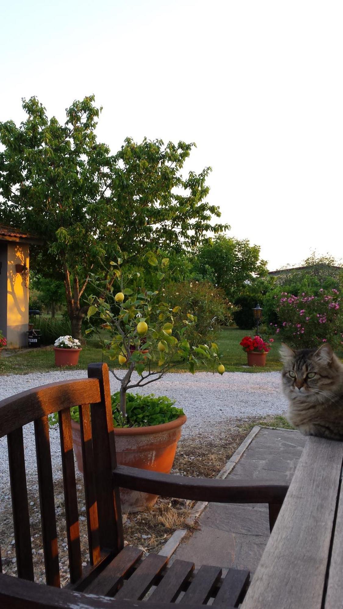 Agriturismo Podere La Cascata Villa Massa Marittima Buitenkant foto