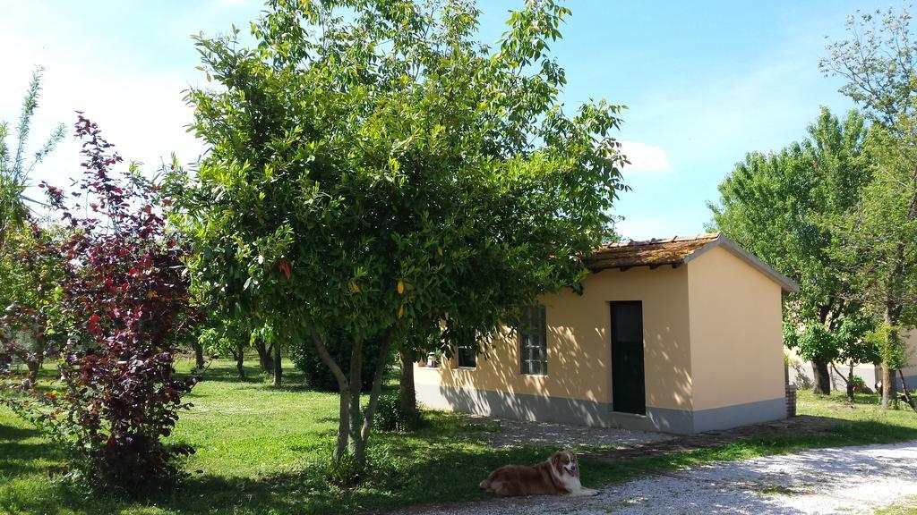 Agriturismo Podere La Cascata Villa Massa Marittima Buitenkant foto