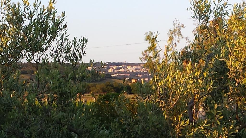 Agriturismo Podere La Cascata Villa Massa Marittima Buitenkant foto