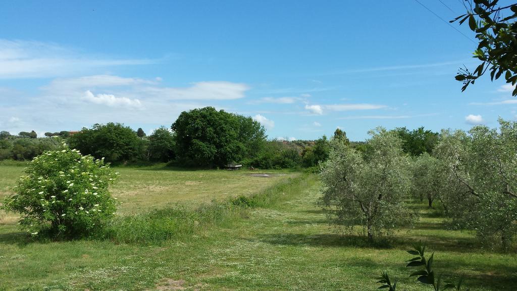 Agriturismo Podere La Cascata Villa Massa Marittima Buitenkant foto