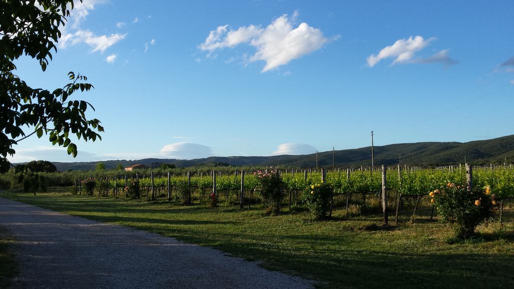 Agriturismo Podere La Cascata Villa Massa Marittima Buitenkant foto