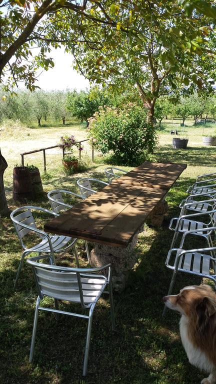 Agriturismo Podere La Cascata Villa Massa Marittima Buitenkant foto